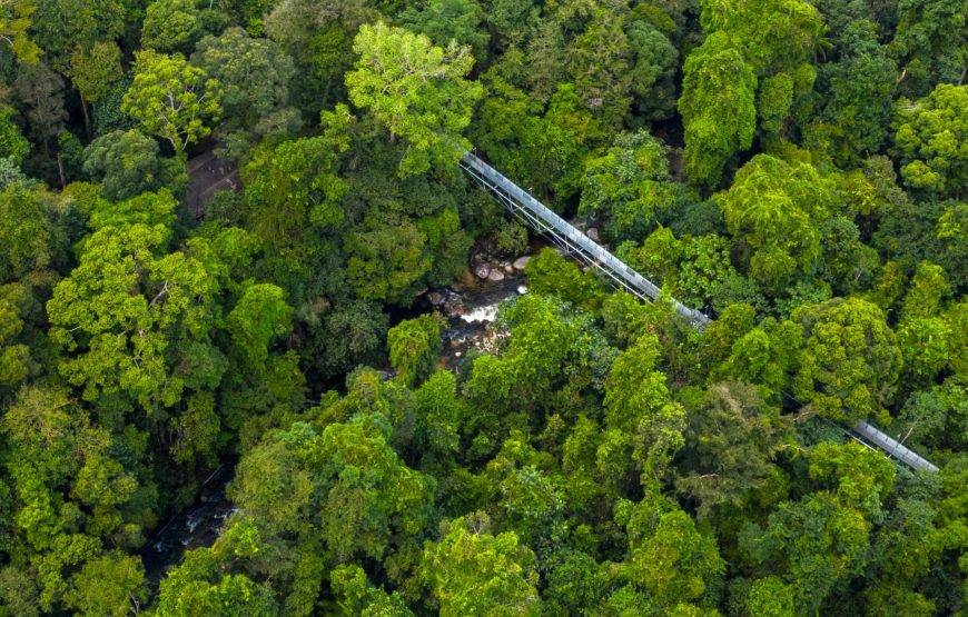 💍✨ عرض شهر عسل الأحلام في ماليزيا (13 يوماً / 12 ليلة)