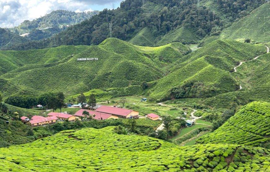 💍✨ عرض شهر عسل الأحلام في ماليزيا (13 يوماً / 12 ليلة)