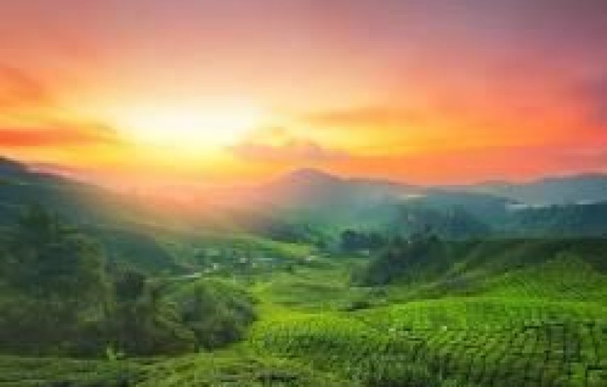 💍✨ عرض شهر عسل الأحلام في ماليزيا (13 يوماً / 12 ليلة)