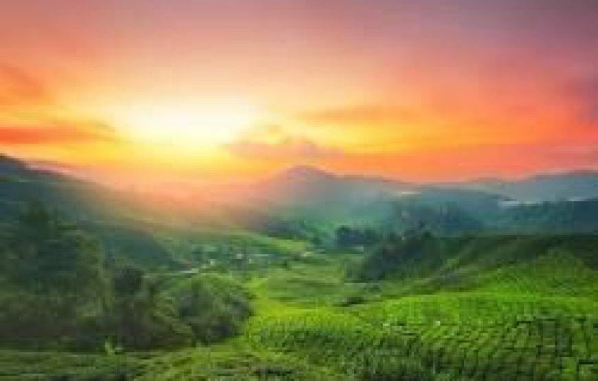 💍✨ عرض شهر عسل الأحلام في ماليزيا (13 يوماً / 12 ليلة)