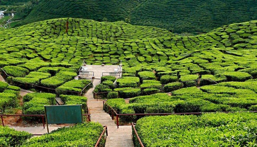 ملخص البرنامج الفاخر في ماليزيا (12 يوم / 11 ليلة) 🇲🇾