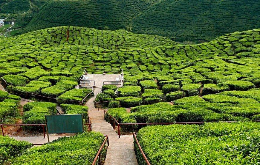 💍✨ عرض شهر عسل الأحلام في ماليزيا (13 يوماً / 12 ليلة)