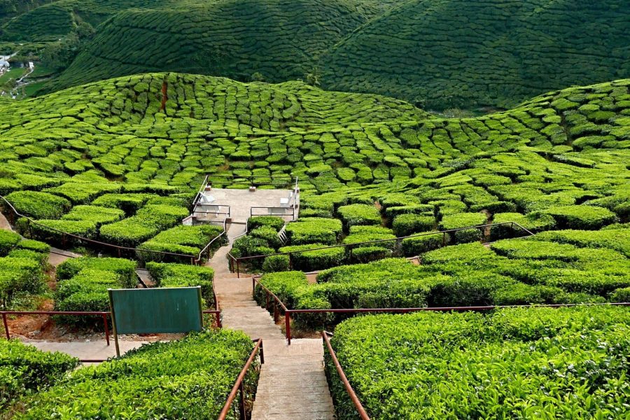 ملخص البرنامج الفاخر في ماليزيا (12 يوم / 11 ليلة) 🇲🇾