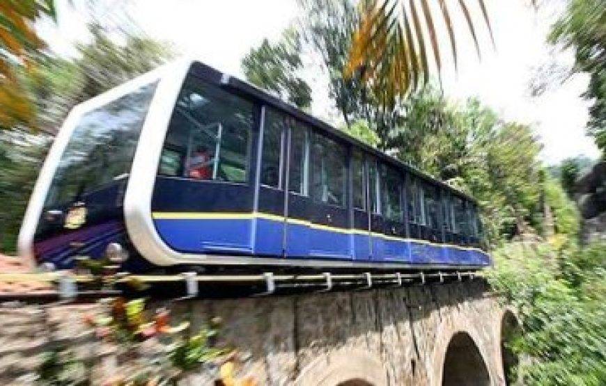 💍✨ عرض شهر عسل الأحلام في ماليزيا (13 يوماً / 12 ليلة)