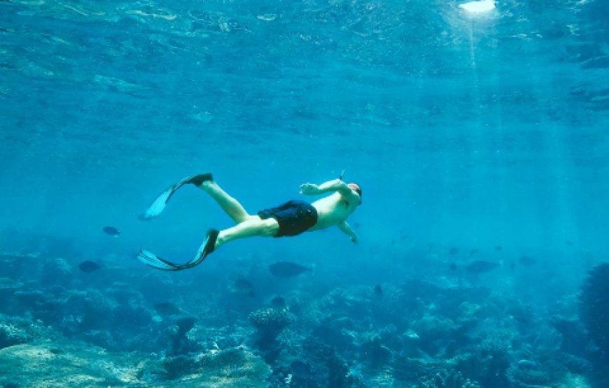 💍✨ عرض شهر عسل الأحلام في ماليزيا (13 يوماً / 12 ليلة)