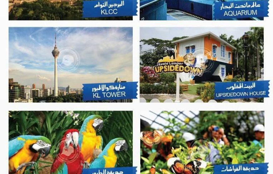 4-star family tour package for 8 nights and 9 days