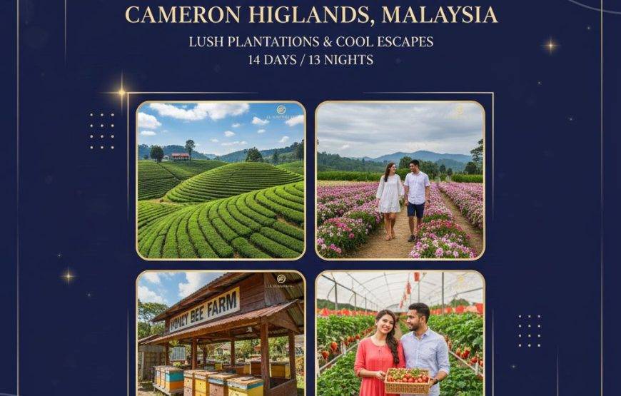 👑 عرض “جواهر ماليزيا” الملكي – 14 يوم 👑