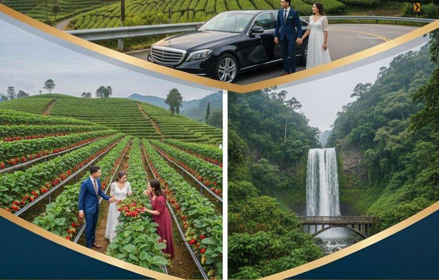 تفاصيل البرنامج السياحي (14 يوم / 13 ليلة)