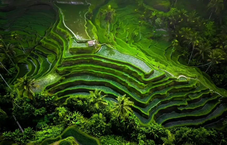 💍 برنامج شهر العسل الفاخر في إندونيسيا