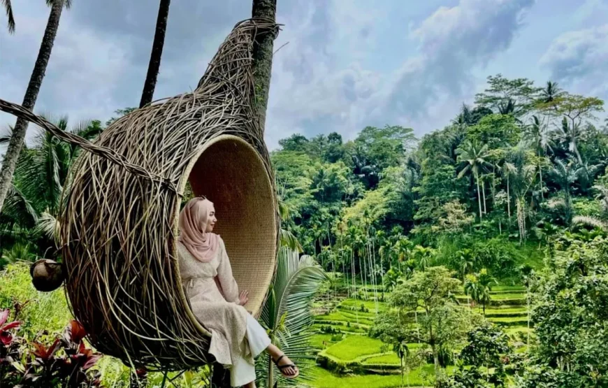 💍 برنامج شهر العسل الفاخر في إندونيسيا