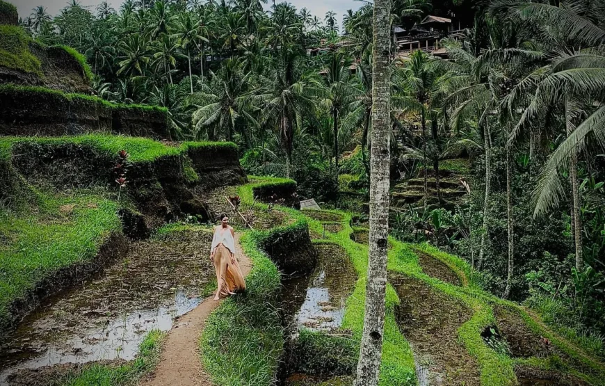 💍 برنامج شهر العسل الفاخر في إندونيسيا