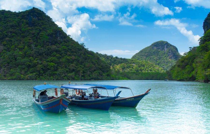 📝 ملخص شروط البرنامج الجديد (11 يوماً / 10 ليالٍ)