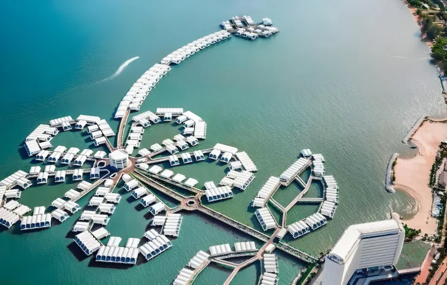 🌟 أبرز ما في البرنامج