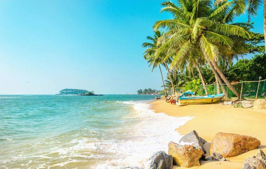 📝 ملخص شروط البرنامج الجديد (11 يوماً / 10 ليالٍ)