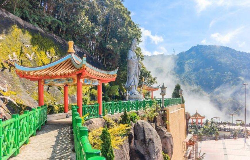 📝 ملخص شروط البرنامج الجديد (11 يوماً / 10 ليالٍ)