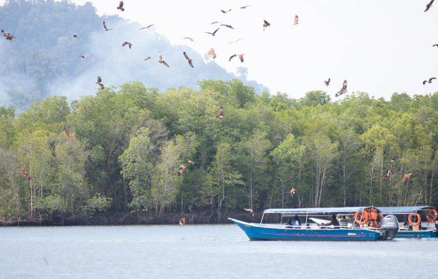 📝 ملخص شروط البرنامج الجديد (11 يوماً / 10 ليالٍ)