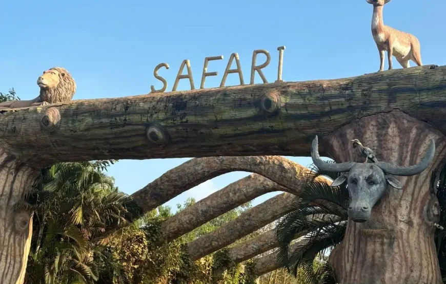 برنامج سياحي إندونيسيا 10 أيام شهر عسل