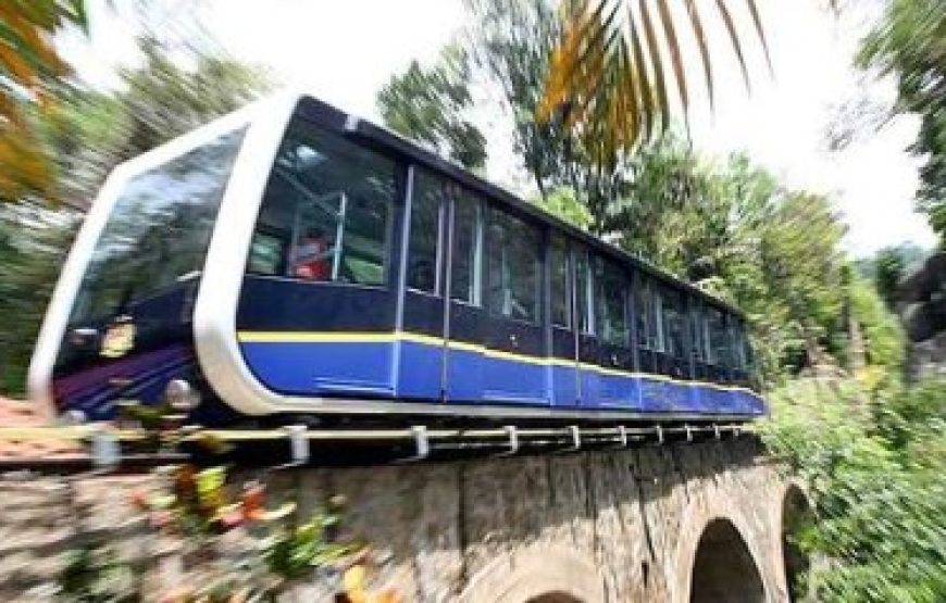 💍 شهر عسل ماليزيا | 13 يوم / 12 ليلة