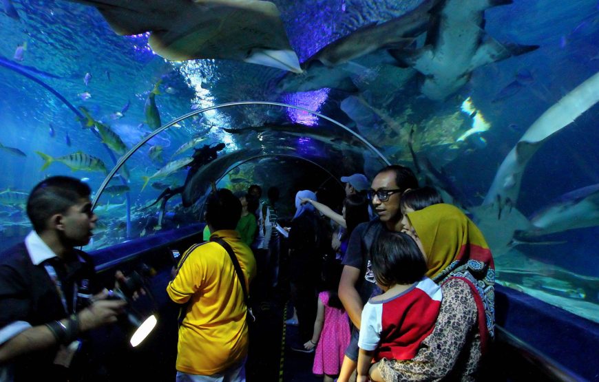 برنامج عائلي ماليزيا | 16 يوم | ترفيهي فاخر